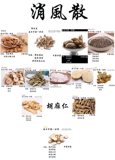 消風散禁忌|消風散功效、作用、禁忌、用法用量